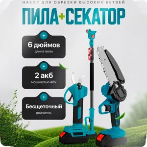 Электро пила + электрический секатор для обрезки, с телескопической штангой (удлинитель) длиной 2.5 м, 2 акб