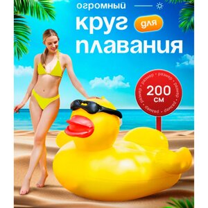 Утолщенная большая желтая утка для плавания и отдыха на воде
