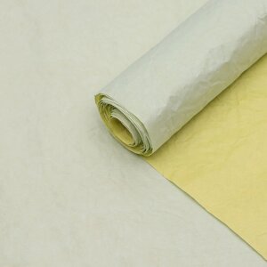 Бумага упаковочная 'Эколюкс двухцветная'МИКС салатовый-желтый пастель, 0,68 x 5 м