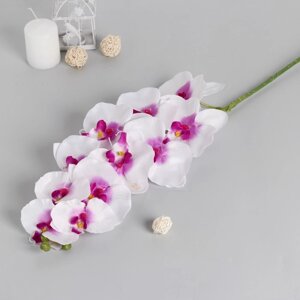 Цветы искусственные 'Орхидея Галатея' 95 см, бело-фиолетовый