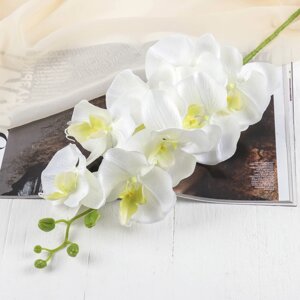 Цветы искусственные 'Орхидея Изящная' 10х100 см, белый