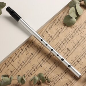 Флейта Music Life С, серебристая, 32,5 см