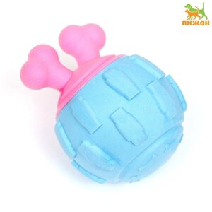 Игрушка для собак 'Гиря'TPR, 11 см, голубая/розовая