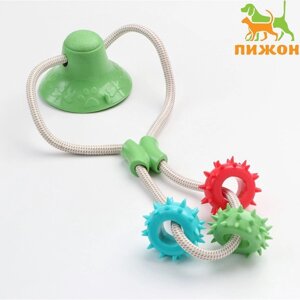 Игрушка для собак 'Кольца с шипами на присоске'40 см, зелёная/голубая/красная