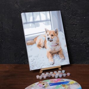 Картина по номерам на холсте с подрамником 'Пёс на ковре'40х30 см