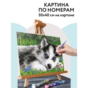 Картина по номерам на картоне 30 x 40 см 'Голубоглазый пушистик'с акриловыми красками и кистями