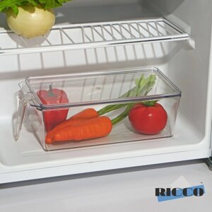 Контейнер для холодильника с крышкой и ручкой RICCO, 32x14,5x10 см