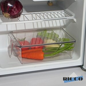 Контейнер для холодильника с крышкой и ручкой RICCO, 32x20,5x10 см