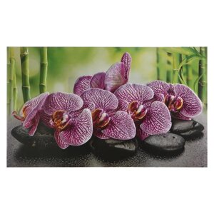 Кухонный фартук 'Орхидея ванда'1000x600x0,5