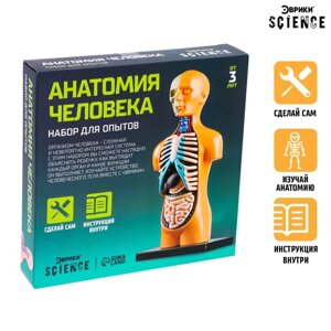 Набор для опытов 'Анатомия человека'