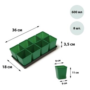 Набор для рассады стаканы по 600 мл (8 шт. поддон 36 x 18 см, цвет МИКС, Greengo