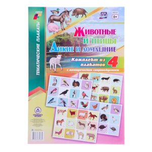 Набор плакатов 'Дикие и домашние животные и птицы' с методическими рекомендациями, 4 плакат 1047263