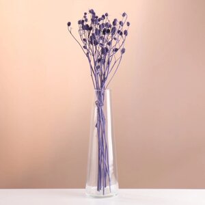 Набор сухоцветов 'Эрингиум'банч 5 шт, длина 50 (6 см), фиолетовый