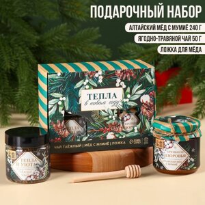 Подарочный набор 'Новый год Тепла в новом году' алтайский мёд с мумиё 240 г., ягодно-травяной чай 50 г., ложка для мёда
