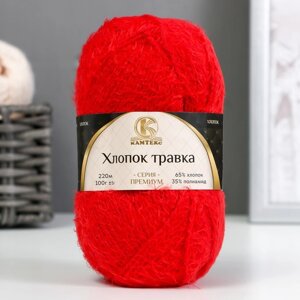 Пряжа 'Хлопок травка' 65 хлопок 35 полиамид 220м/100гр (046 красный)