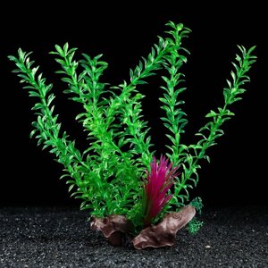 Растение искусственное аквариумное на платформе в виде коряги, 30 см, зелёное