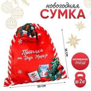 Сумка детская новогодняя 'Посылка от Деда Мороза'35 х 30 см., на новый год