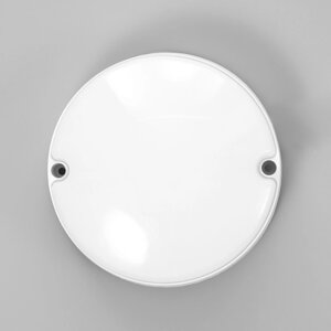 Светильник 'Круг' LED 10Вт IP65 белый 5х5х14 см