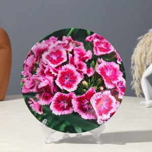 Тарелка декоративная 'Цветы'вид 2, D 17,5 см