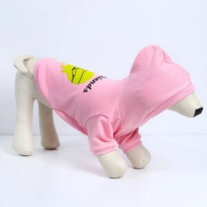 Толстовка Best Friends для собак (футер), размер S (ДС 23, ОШ 32-34, ОГ 40-44), розовая