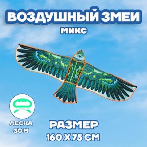 Воздушный змей 'Орёл в полете'с леской, цвета МИКС