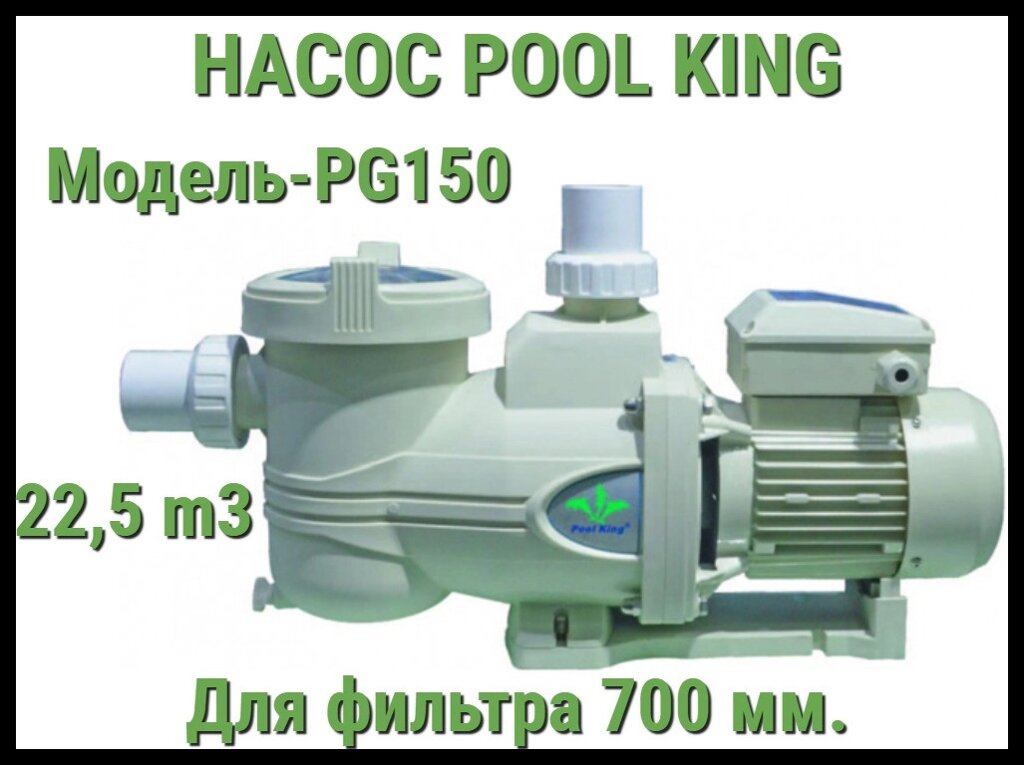 Насос Pool King PG150 c префильтром для бассейна (Производительность 22,5 м3/ч) от компании Welland - фото 1