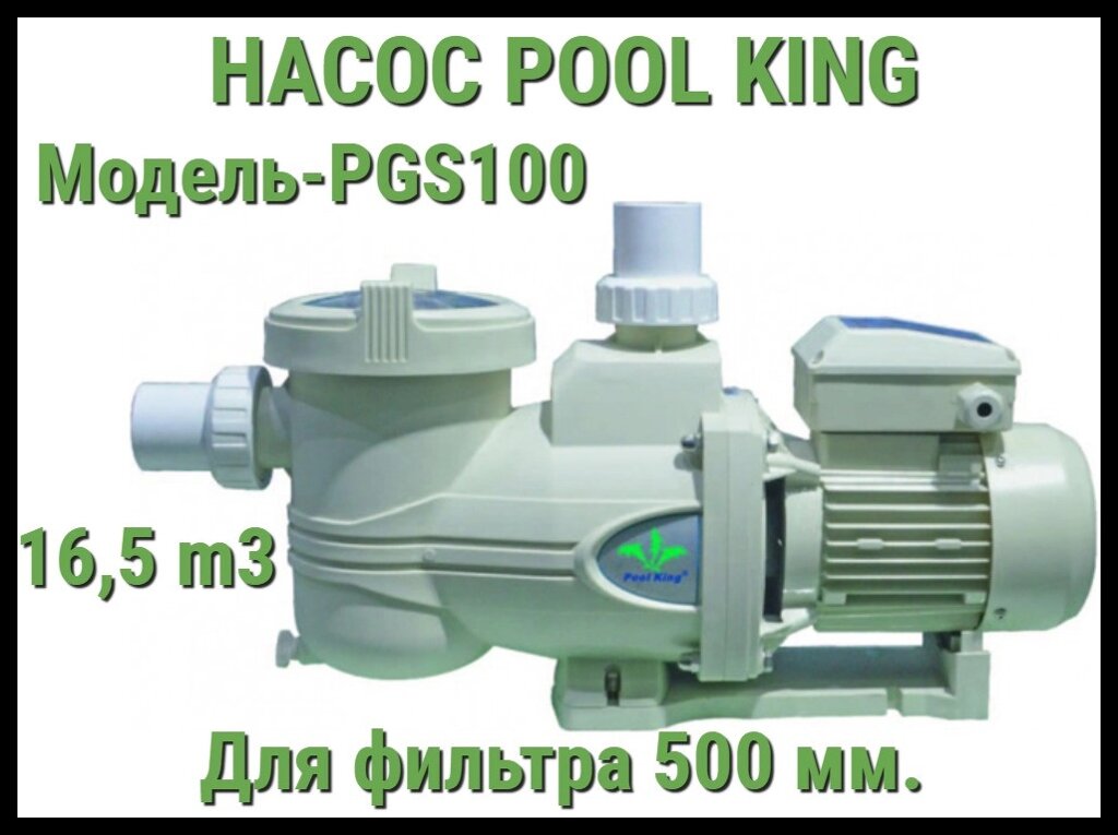 Насос Pool King PGS100 c префильтром для бассейна (Производительность 16,5 м3/ч) от компании Welland - фото 1