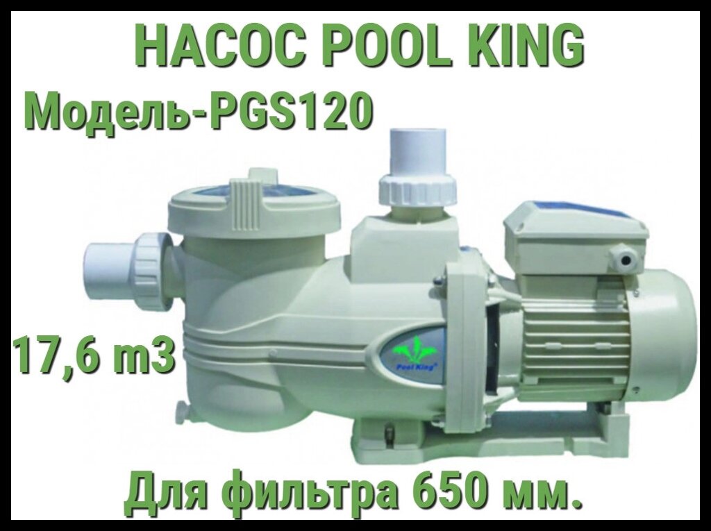 Насос Pool King PGS120 c префильтром для бассейна (Производительность 17,6 м3/ч) от компании Welland - фото 1