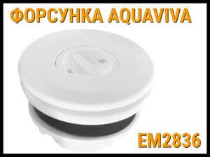 Форсунка стеновая для пылесоса Aquaviva EM2836 в бассейне