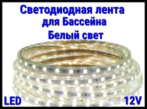 Влагостойкая светодиодная лента Neo Neon для Бассейна (Белый свет, 12V, IP67)