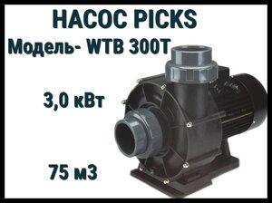 Насос Picks WTB 300T для бассейна без префильтра (Производительность 75 м3/ч, мощность: 3,0 кВт)