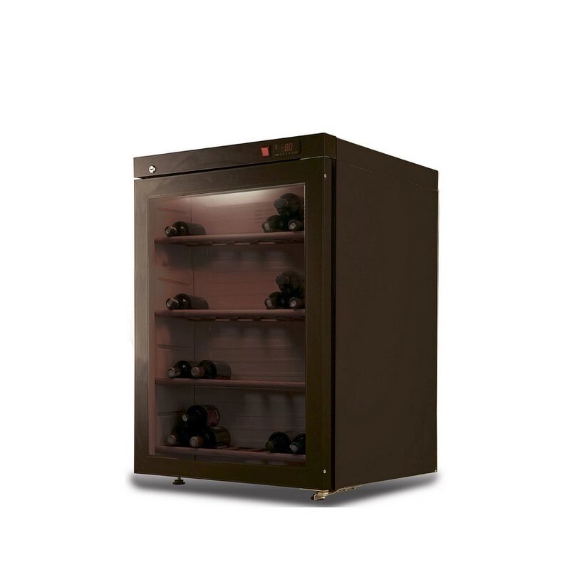 Шкаф холодильный DW102-Bravo от компании На все случаи - фото 1