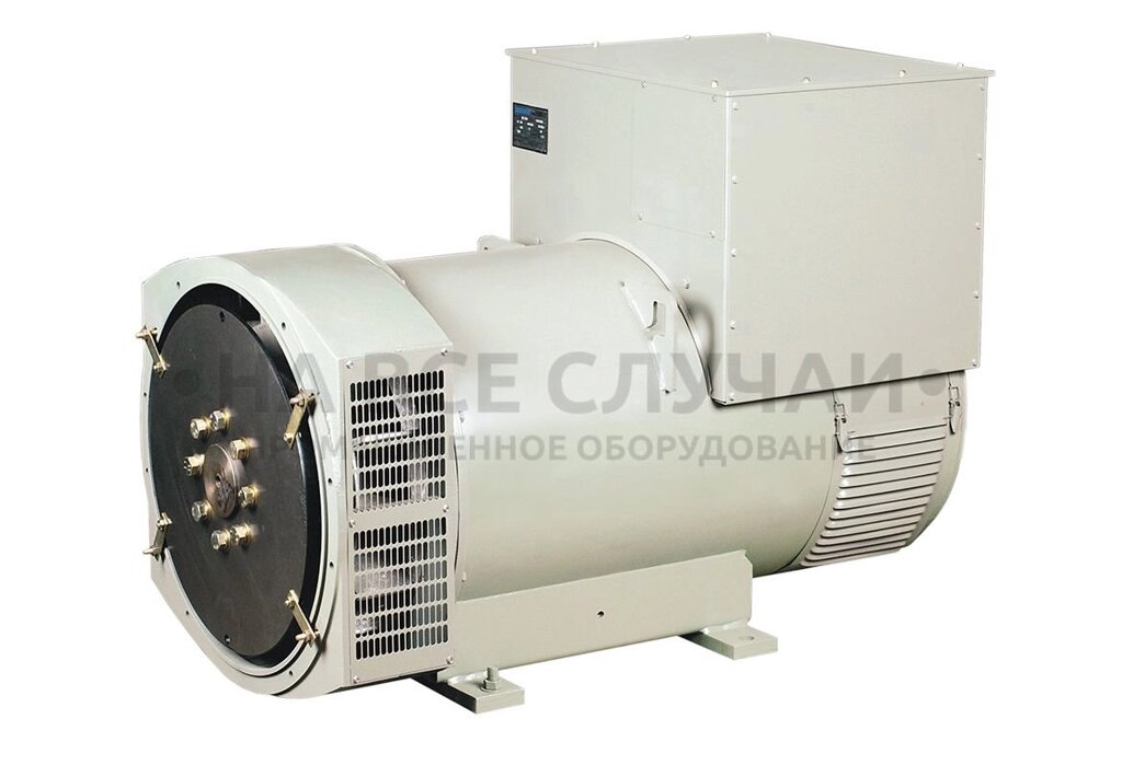 Синхронный генератор TSS-SA-80 (L) от компании На все случаи - фото 1