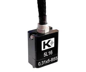 5L16-0,31x5-B55 (интег. кабель, LEMO, 2м)