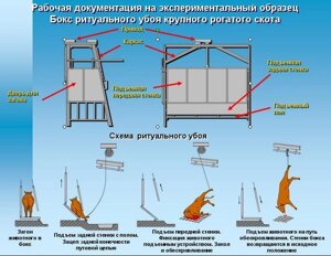 Комплект оборудования убойного пункта мощностью до 3-х тонн мяса в смену