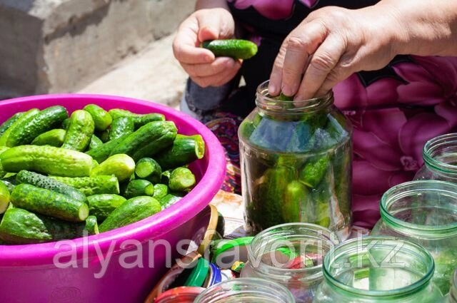 Комплект оборудования для фасовки и упаковки соленых и маринованных овощей ИПКС-0614 от компании Компания АльянсФаворит - фото 1