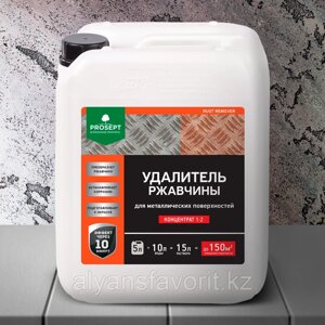 RUST REMOVER - удалитель ржавчины 5 литров (концентрат). РФ