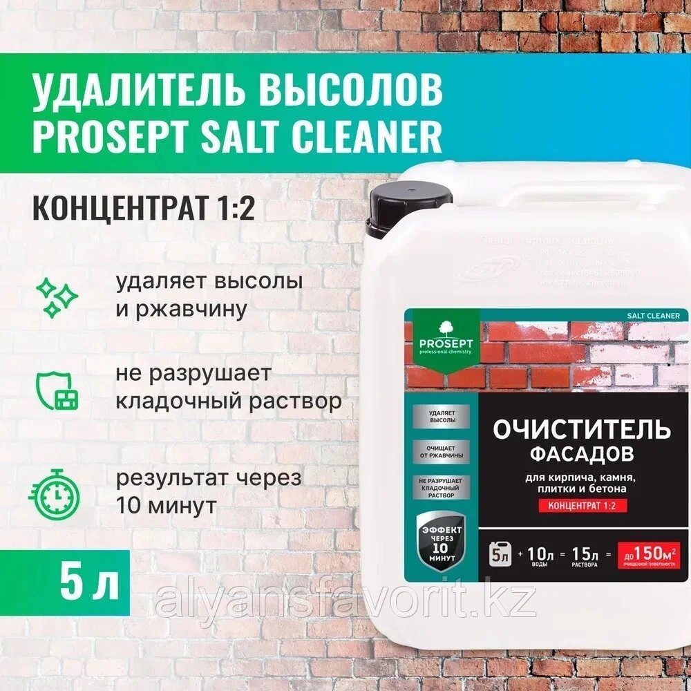 SALT CLEANER - удалитель высолов 5 литров -(концентрат). РФ от компании Компания АльянсФаворит - фото 1