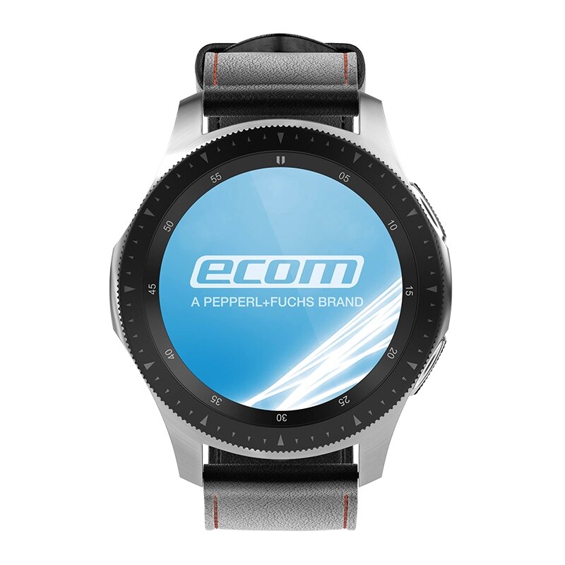 Умные часы Smart-Ex Watch 01 для зоны 2/22, серые от компании ТОО "KM Group" - фото 1