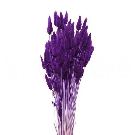 Букет из сухих цветов Лагурус фиолетовый h70 см от компании TOO RT UNIVERSAL GROUP - фото 1