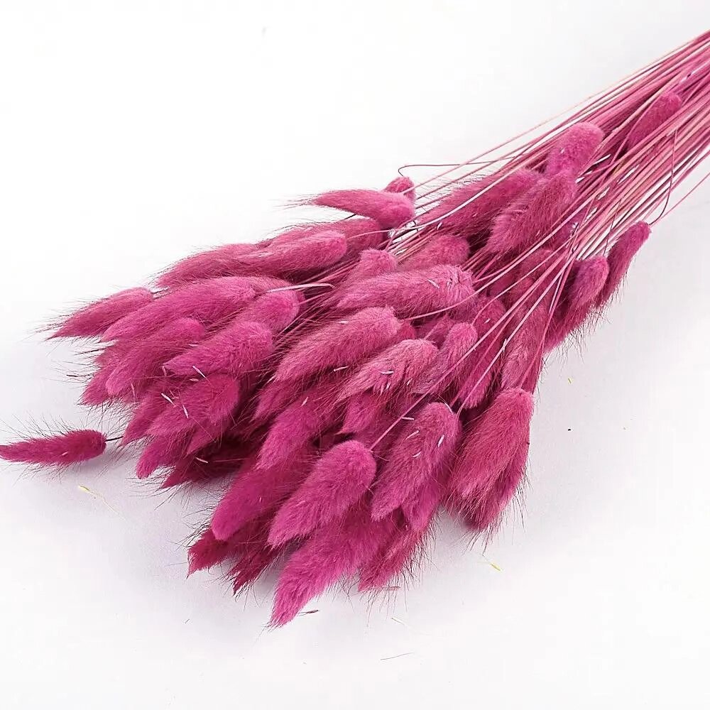 Букет из сухих цветов Лагурус розовый h70 см от компании ИП Фомичев - фото 1