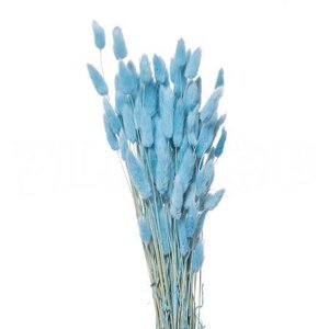 Букет из сухих цветов Лагурус синий h70 см