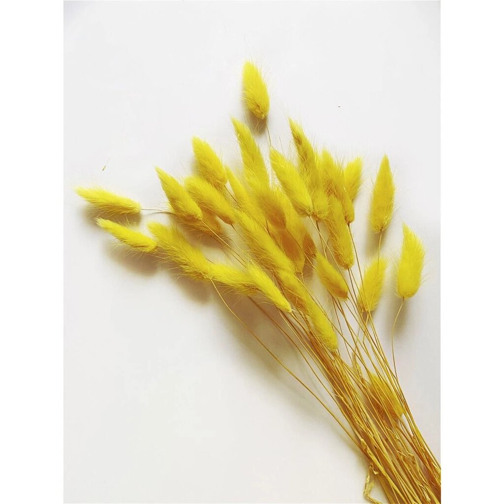 Букет из сухих цветов Лагурус желтый h70 см от компании TOO RT UNIVERSAL GROUP - фото 1