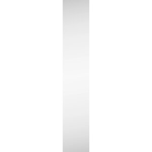 Дверь для шкафа Лион 40x225.8x2.3 см с зеркалом цвет серый