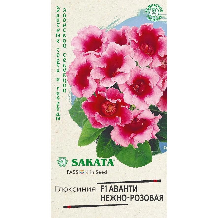 Глоксиния Аванти Саката нежно-розовая 5 шт. от компании ИП Фомичев - фото 1