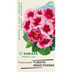 Глоксиния Аванти Саката нежно-розовая 5 шт.