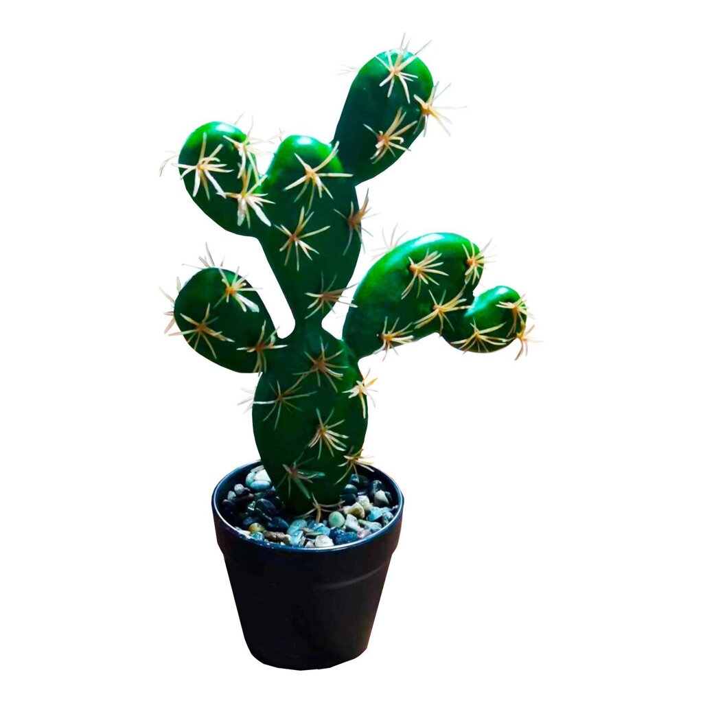 Искусственное растение Кактус h23 см полиэстер разноцветный от компании ИП Фомичев - фото 1