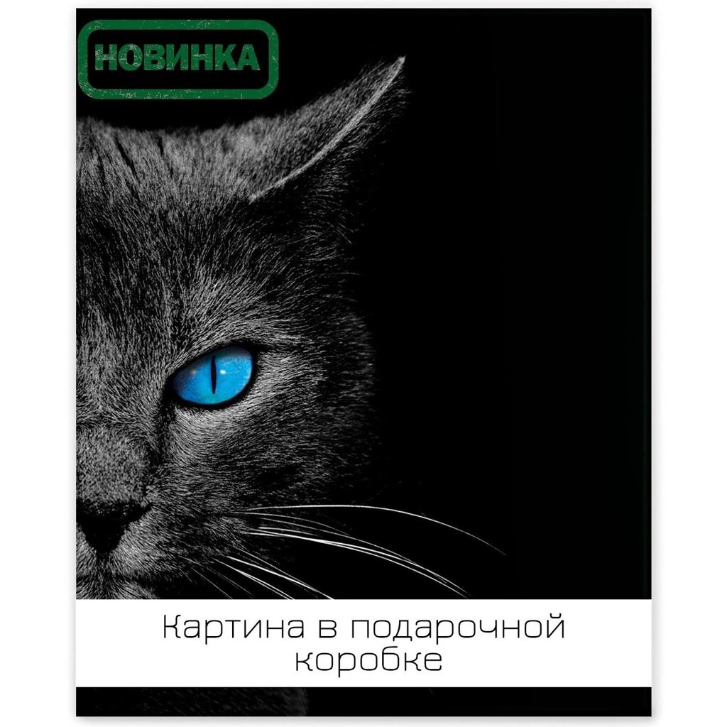 Картина на холсте Ночная кошка 40х50 см от компании ИП Фомичев - фото 1