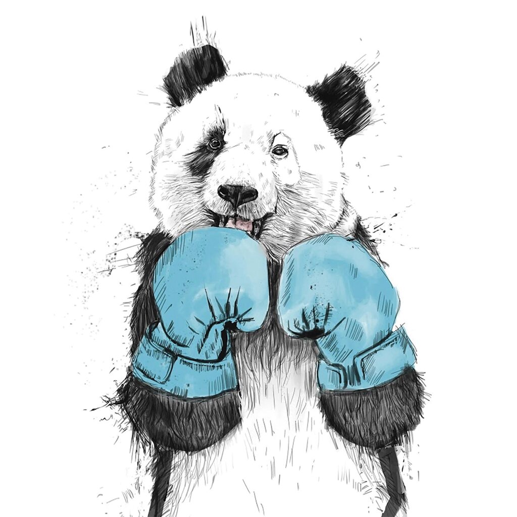 Картина на холсте Панда в боксе 40x50 см от компании ИП Фомичев - фото 1