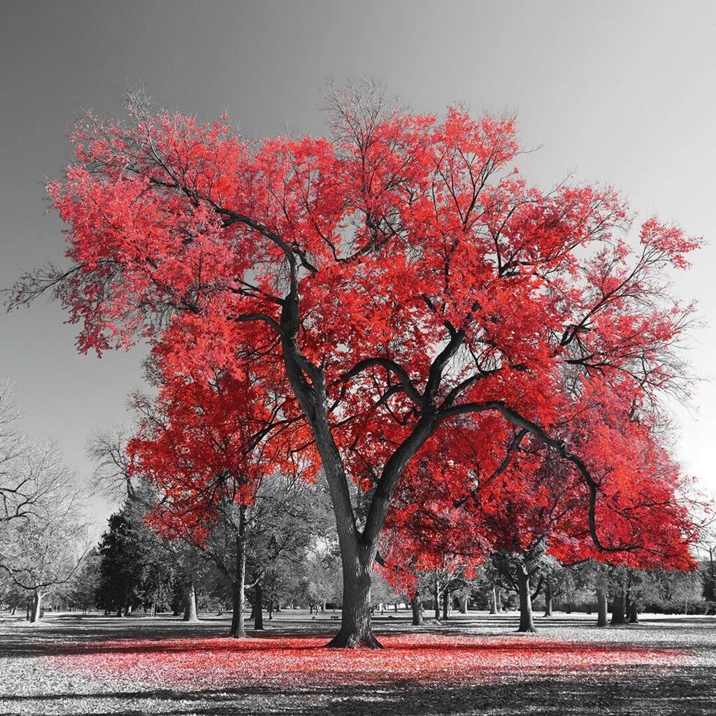 Картина на стекле Красное дерево 30*30 см., AG 30-80 от компании ИП Фомичев - фото 1
